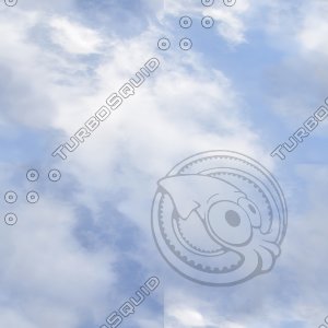tex_sky04