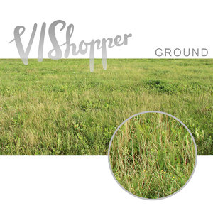 VIShopper ground
