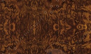Walnut burl