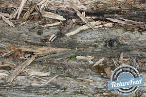 Wood Texture 20