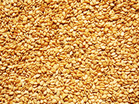 Sesame texture map 09