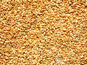 Sesame texture map 09