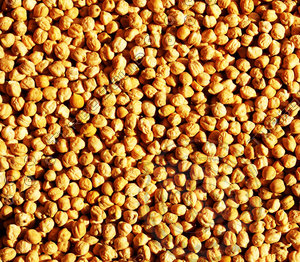 Kabuli gram texture 07