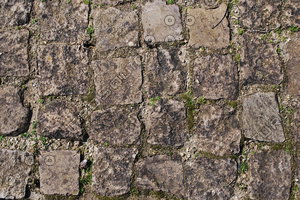 Ground_Texture_0008