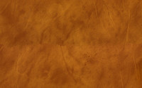 Leather upholstery