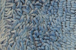 carpet fibers