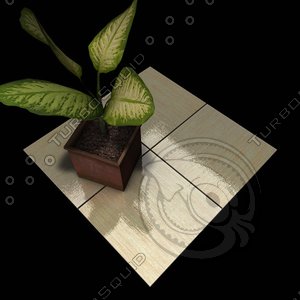 Stone Tiles Collection C