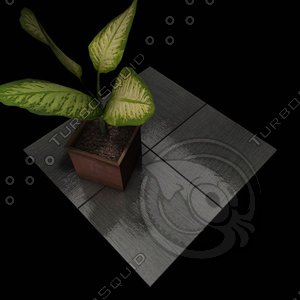 Stone Tiles 004 C