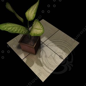 Stone Tiles 005 C