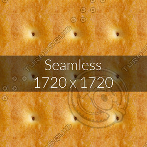 Cookies texture map 06