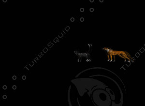 Cat And Dog Animated GIF