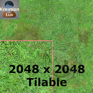 Texture Seamless 2048X2048 Aerial Forest Type C