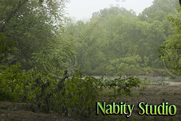  https://static.turbosquid.com/Preview/2014/08/02__00_06_00/WoodstoStream1Watermarked.jpg91b96b00-dc21-4034-9480-37664247d507Large.jpg