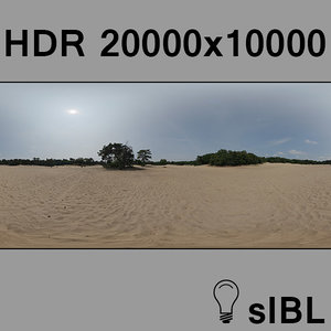 Forest on sand panorama version B
