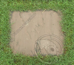 Red Stone with Grass