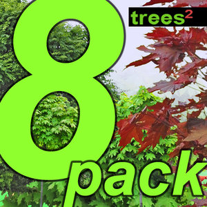 8 trees(1)