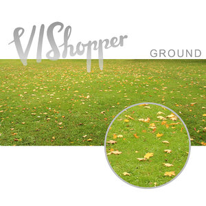 VIShopper ground