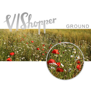 VIShopper ground