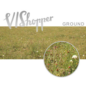 VIShopper ground