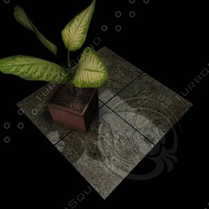Granite_226 Verde Tropical