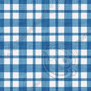 Coordinated Cottons - White on Blue Plaid