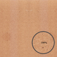 Brown Cardboard Texture 2
