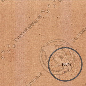 Brown Cardboard Texture 2