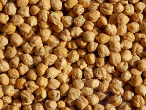 Kabuli gram texture map 08