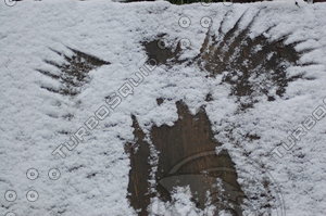 Snow angel