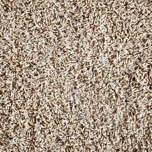 Carpet Texture (Shag/Deep Pile)