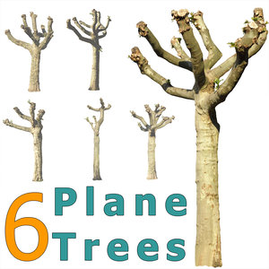 6 Cutout Plane Trees
