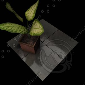 Stone Tiles 006 C