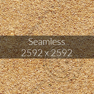 Sesame seed texture map