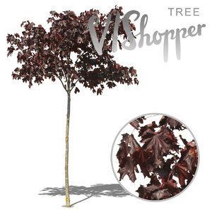 VIShopper_plant04