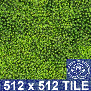 Moss 1 tile