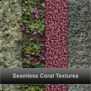 coral textures
