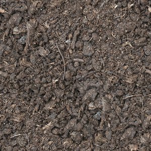 peat moss seamless texture