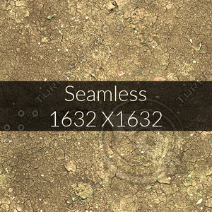 Yellow Soil Texture Map 04