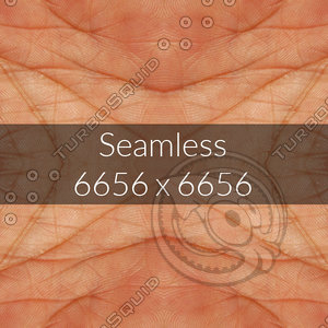 Human Skin pattern