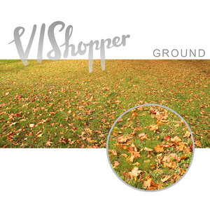 VIShopper ground