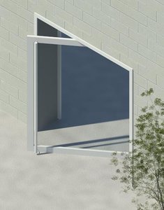 Pivoting Glass Door