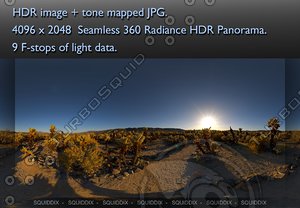 DESERT CACTUS GARDEN AT SUNSET 360 HDR PANORAMA # 063