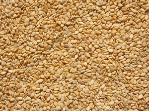 sesame texture map 07