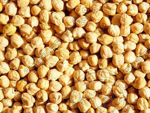 Kabuli gram texture map 09
