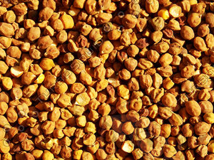 Brown Gram Texture Map 06