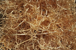 Straw_Texture_0001