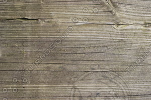 Plank_Texture_0008