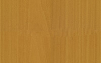 Wooden door