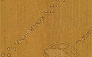 Wooden door