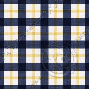 Coordinated Cottons - Yellow on Navy Plaid